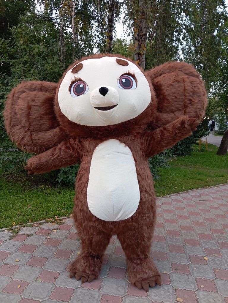 Чебурашка в Петропавловске