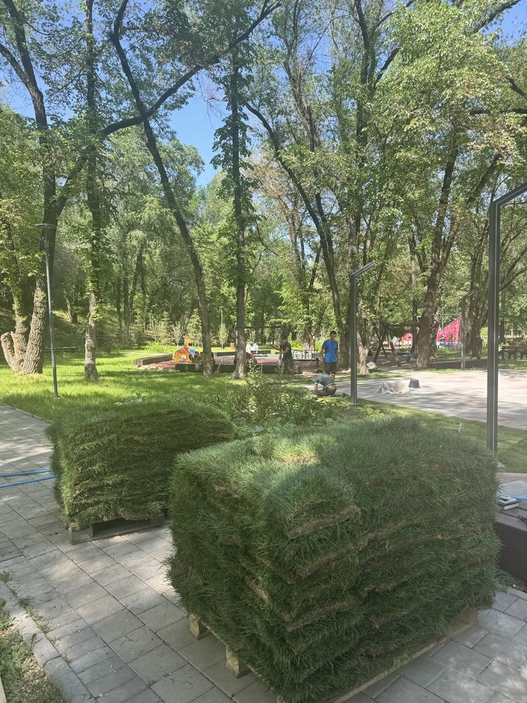 Автополив Hunter посев газон