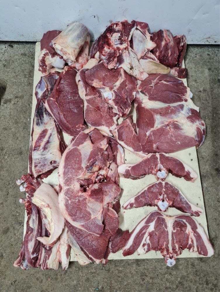 Продам Сочный Вкусный согым!