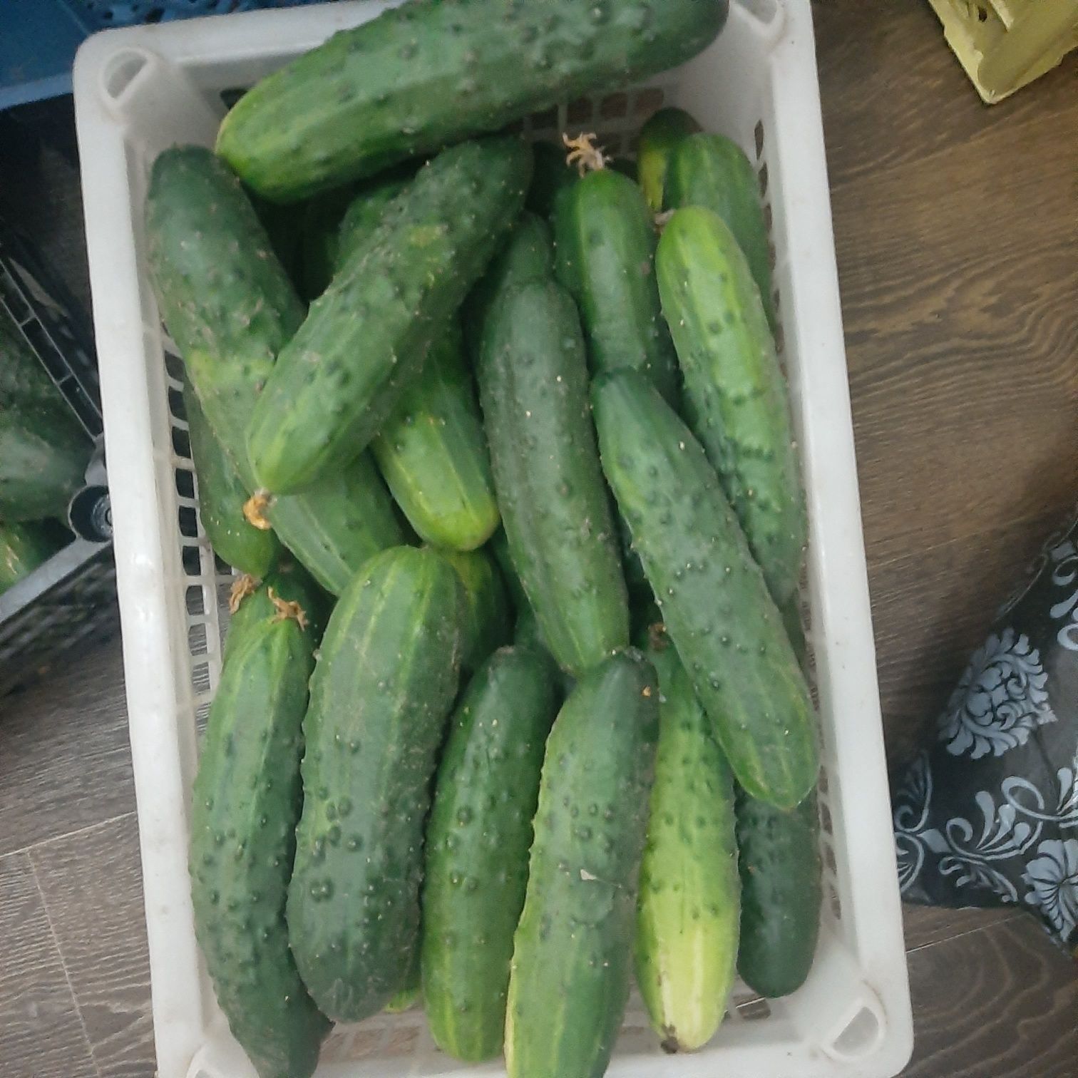 Продам огурцы среднего размера