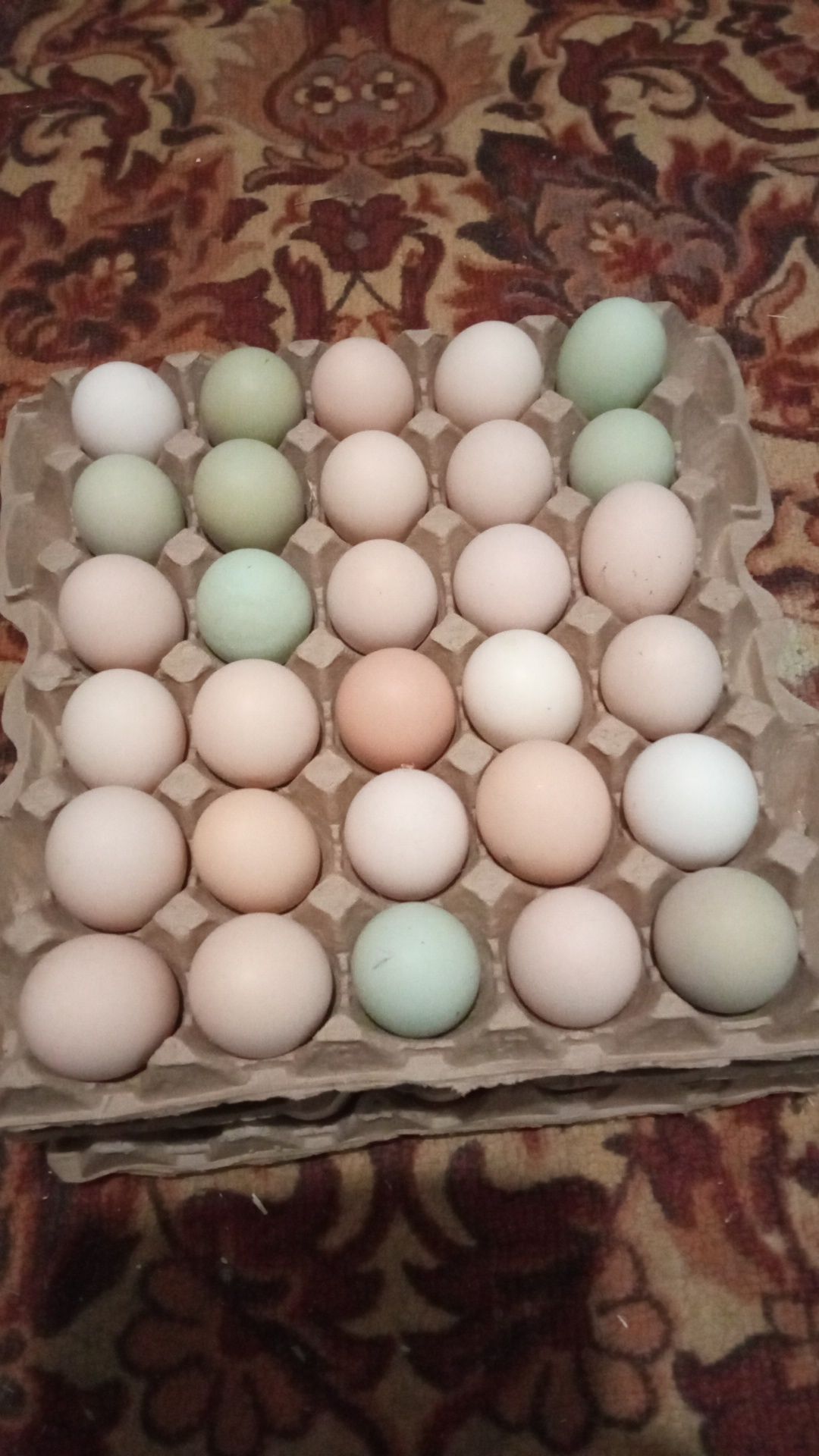 Продам яицо домашнее.