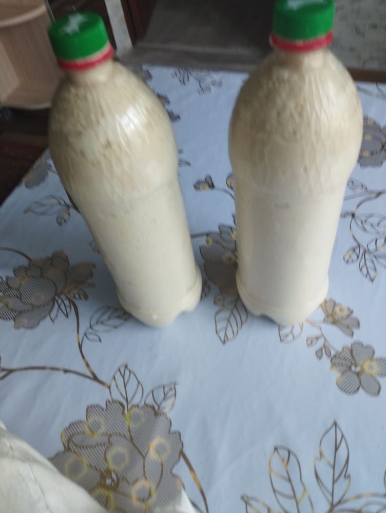 Қайнатылған Құрт, Вареный домашний Курт
