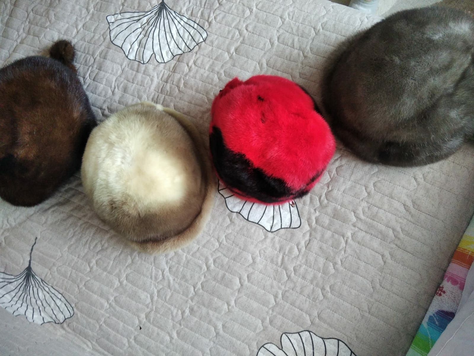 Шапки натуральный мех