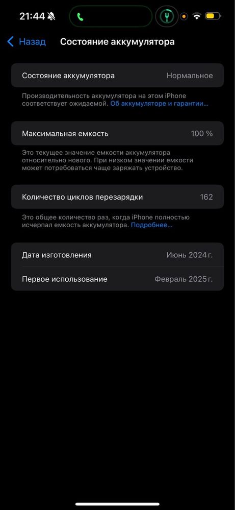 iPhone 15 Pro Max 256 100%