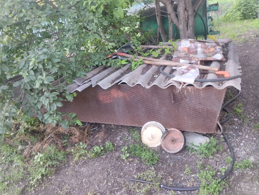 Котыро  можно под воду или зерно