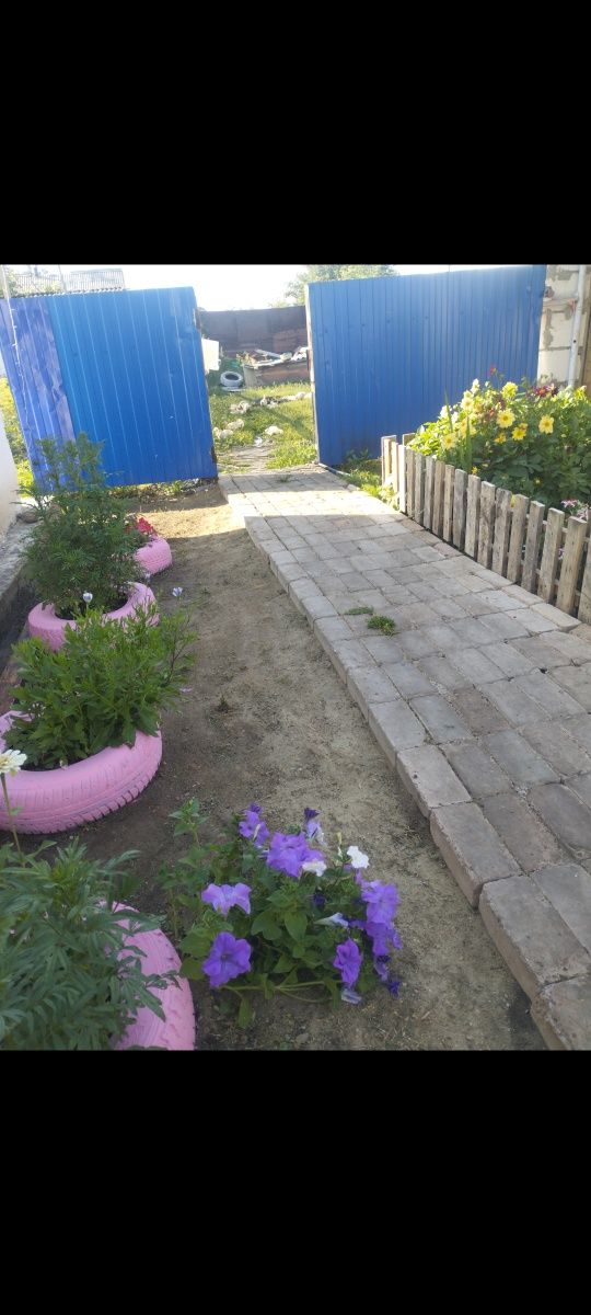 Продам дом  п.Александровка