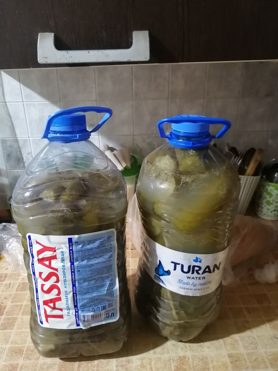 Солёные огурцы продам