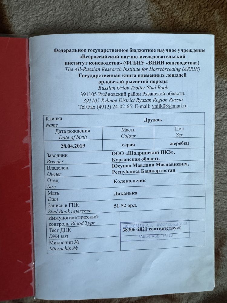 Жеребец орловец.