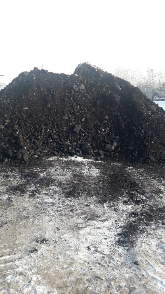 Уголь. Шубаркульский Кузнецкий Майкуба