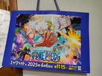 Пакетик One piece