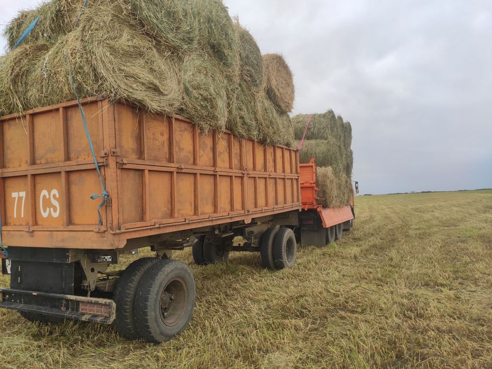 Продам сено отличного качества