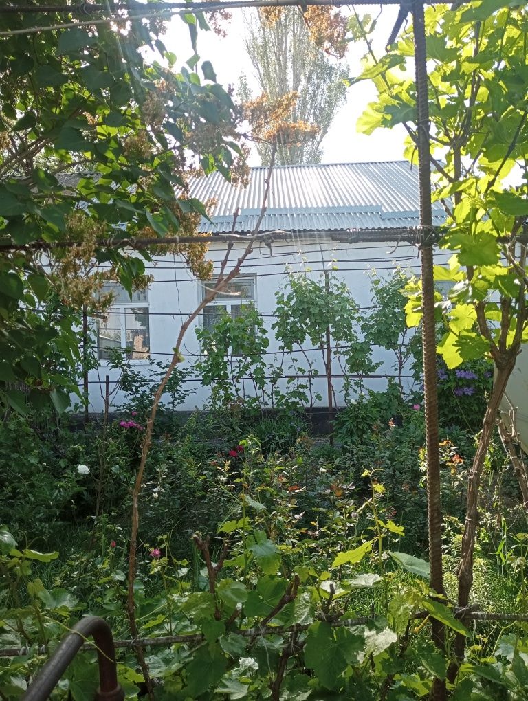 Продам особняк на хим.поселке