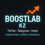 SMM услуги | TikTok / Telegram | Подписчики, просмотры, актив