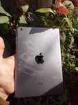 Apple IPad mini 16 gb