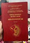 Анатомия ишинде бари бар