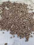 Продам картофель семенной