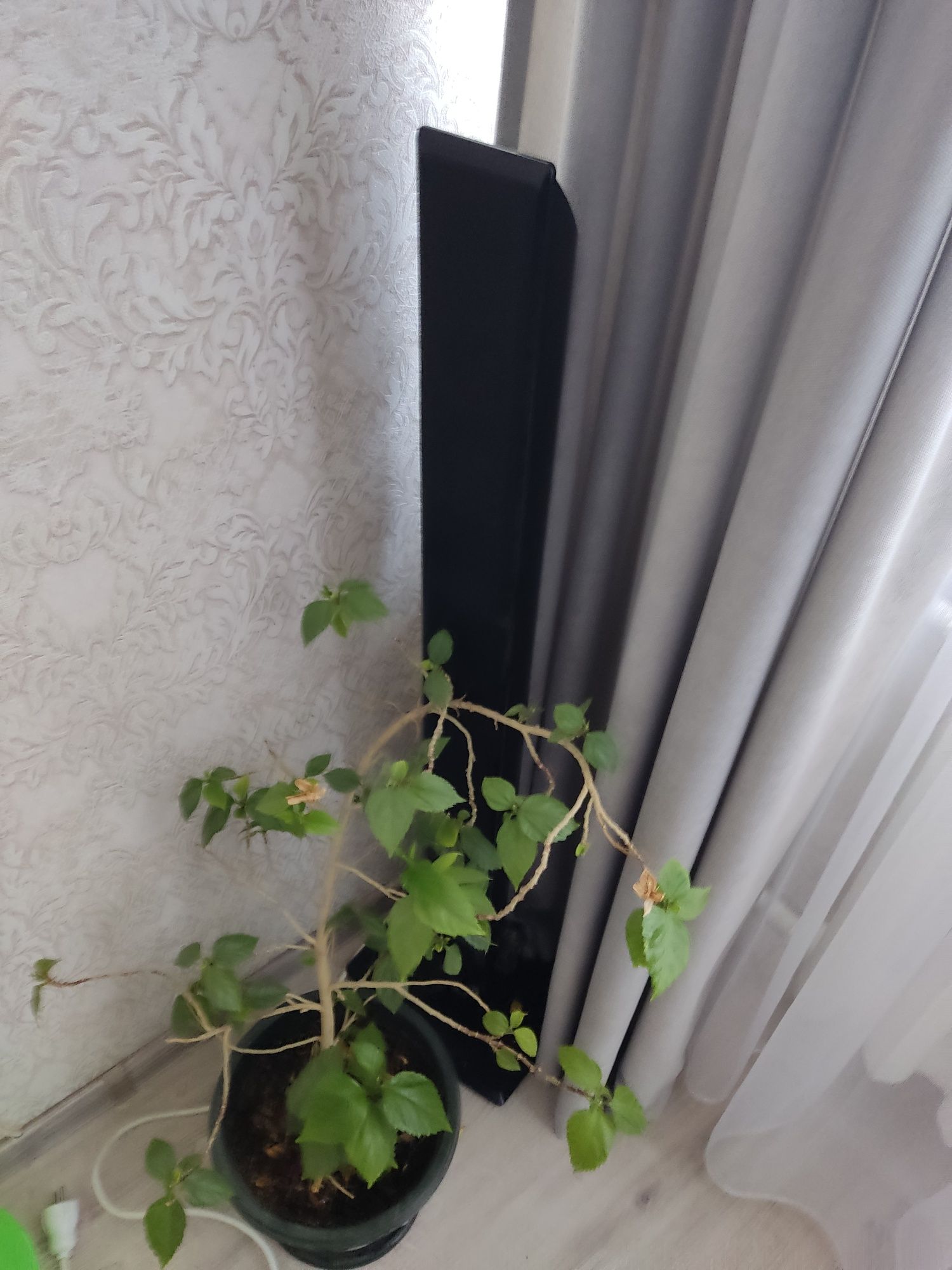 Продам домашний кинотеатр