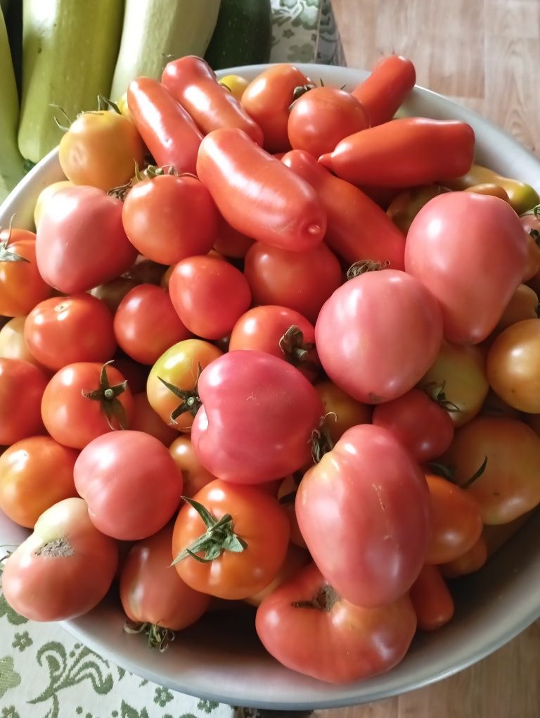 Продам домашние помидоры и перец