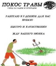 Покос Травы Триммером.