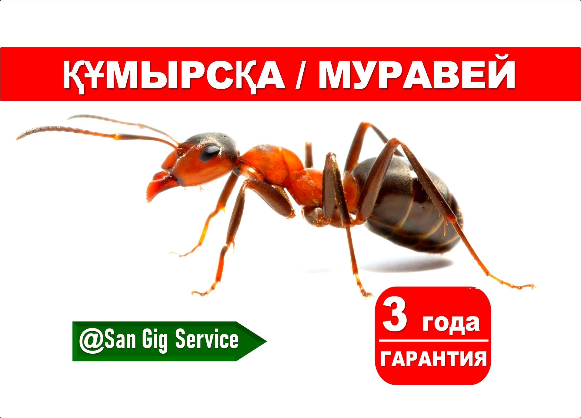 Дезинфекция Семей  договор дезинфекция
