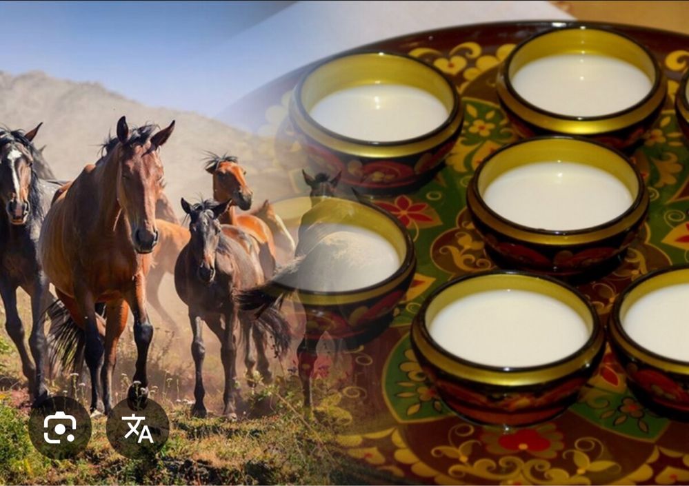 Қымыз натуральный (табиғи) 100%