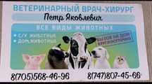Ветеринар на выезд