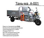 Трицикл электрический