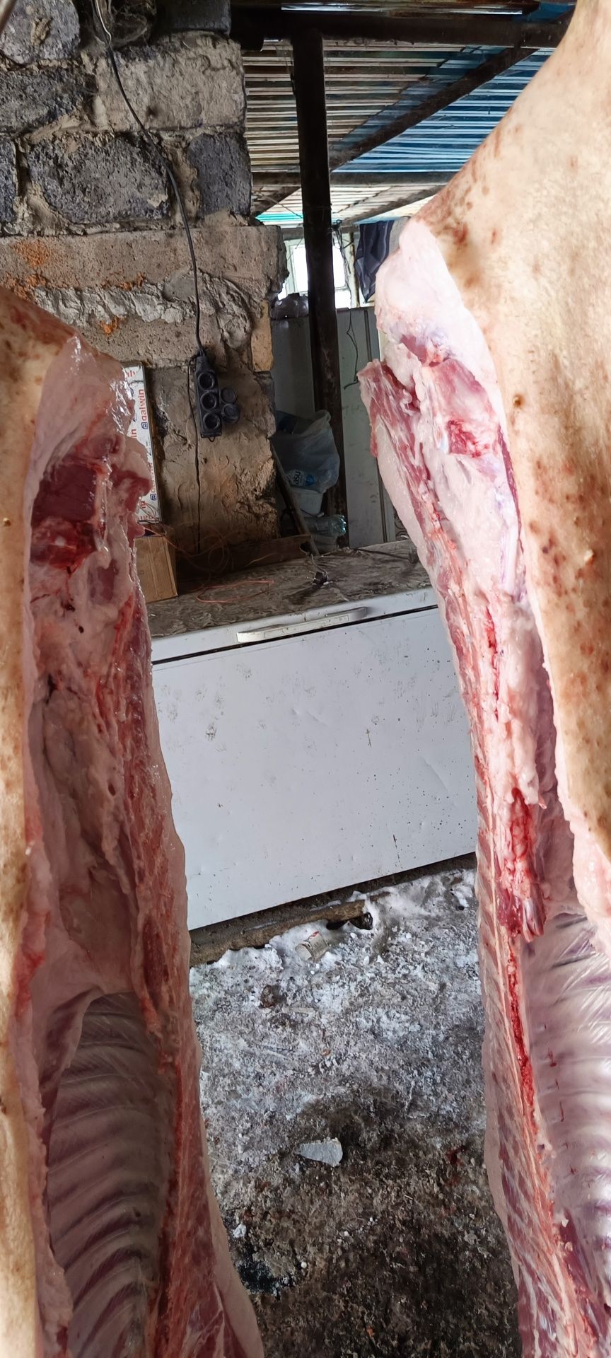 Продам свинину домашнию