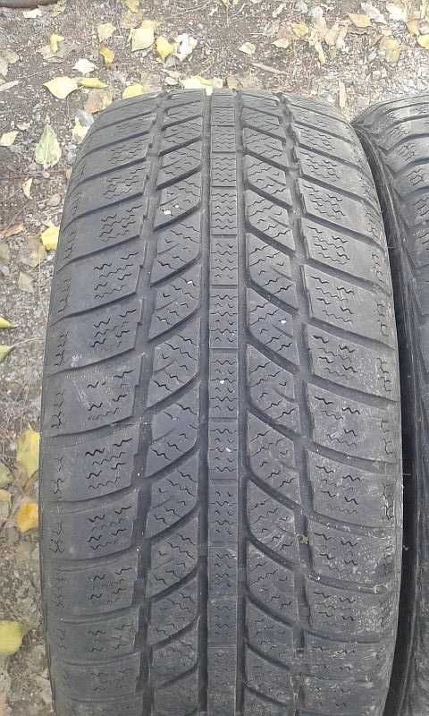 Шины 205/55 R16 - "Evergreen Winter EW62" (Китай), зимние.