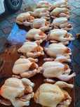 Продаю домашних бройлерных курей.  Халал.