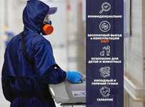 Дезинфекция Уничтожение тараканов клопов вшей блох крыс мышей муравьев