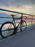 Fixed gear Ardently