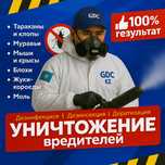 Обработка от насекомых