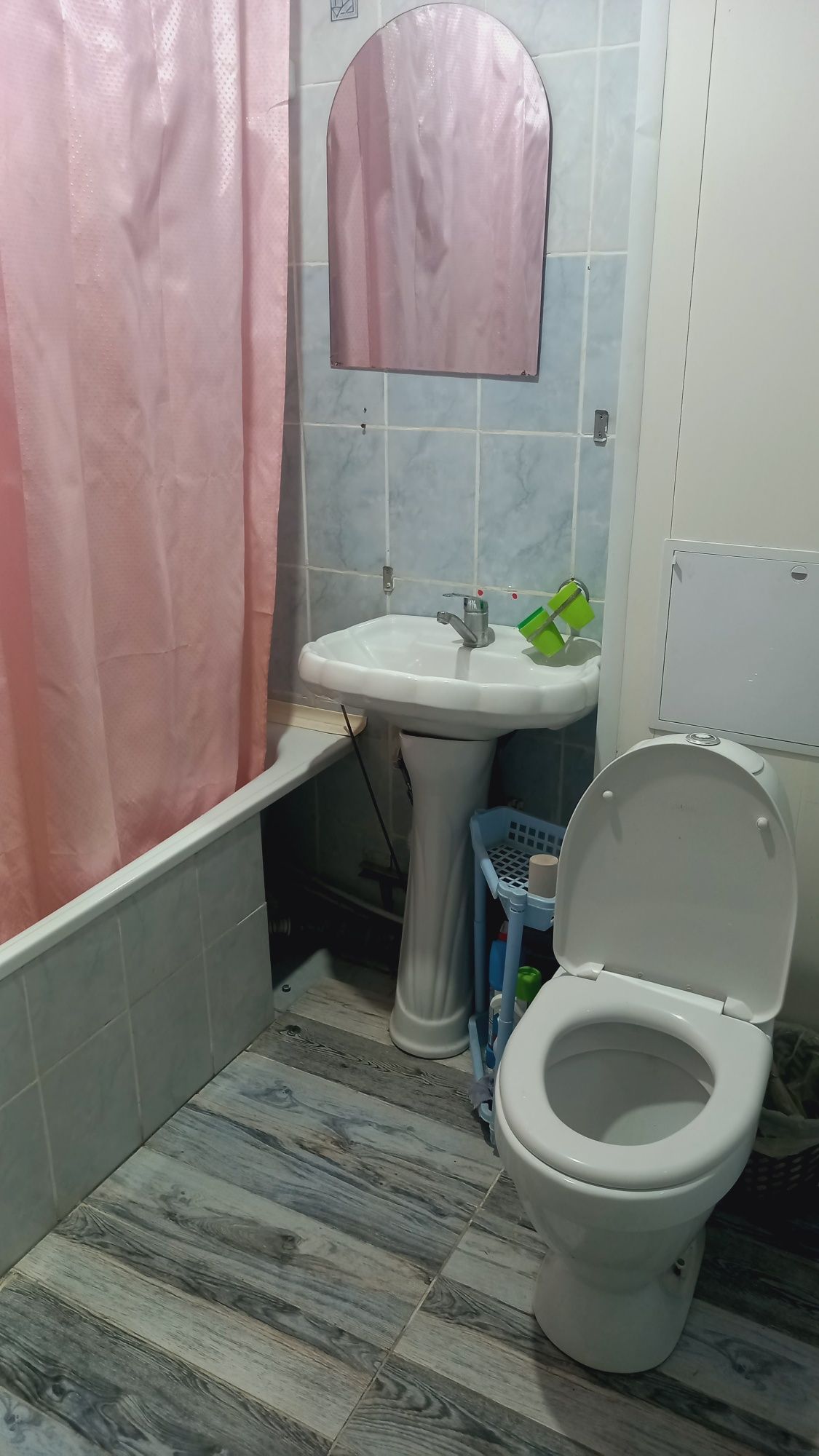 Однокомнатная Школьник, Диана,посуточно и по часам