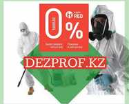 Дезинфекция клопы, термиты Кандала улау обработка от клопов термитов