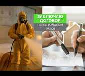Дезинфекция в городе Шымкент Тараканов клопов жук короед мыши кандала