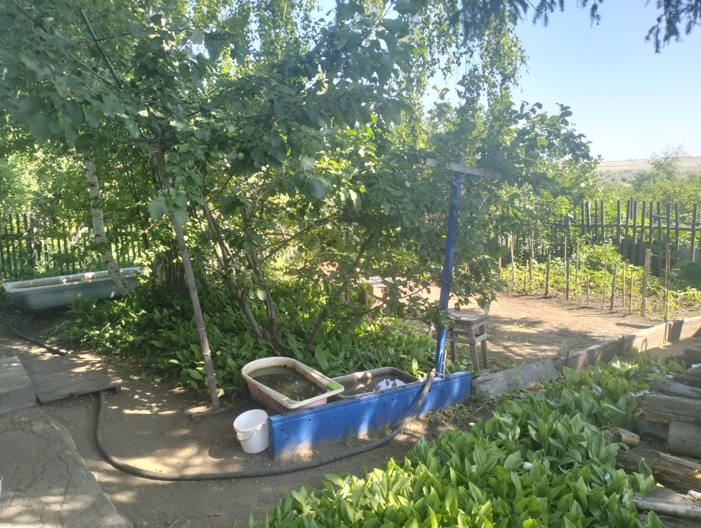 Продается Дача в Обществе трест МЖС