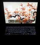 Asus vivobook 16x 16