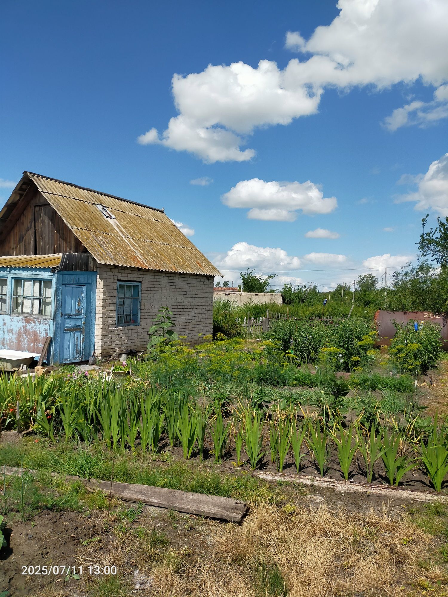 Продам дачу СО Борки