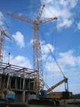 Сдам в аредну гусеничные краны башенно стреловой 25 60 тонн и 100 тонн