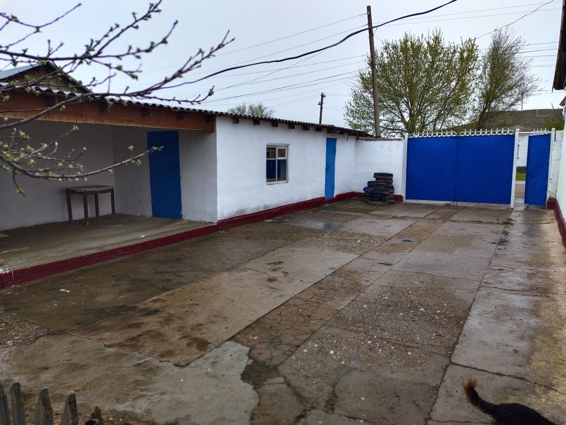 Үй сатылады, Южный