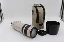 Canon EF 100-400mm f4.5-5.6