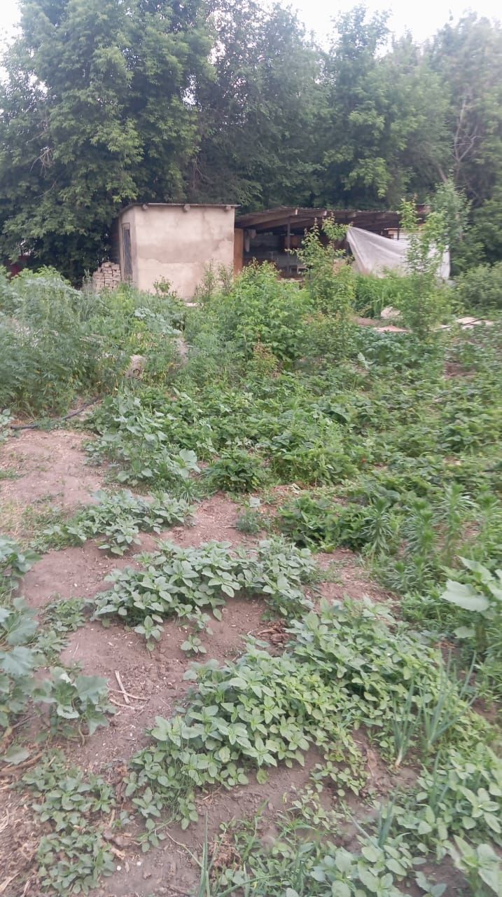 Продам дачу и дачный участок в подарок не далеко от старого мясо.ком.