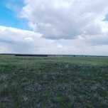 Жер сатылады ПАРАСАТТА.