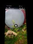 Емкости  6м/3 гориз.ст.6мм под воду