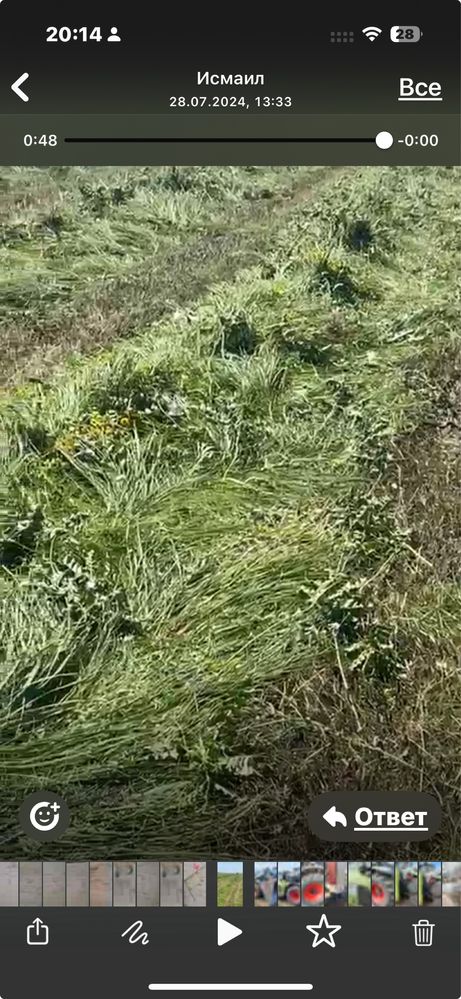Продам сено в рулонах луговое (разнотравие)