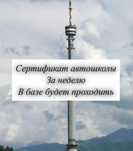 Сертификат автошколы. Бесплатная консультация по сдаче экзамена.Пишите
