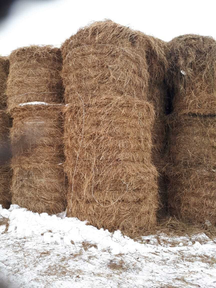 Продам сено в рулонах