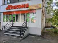 Действующий магазин "Махоня" с участком.