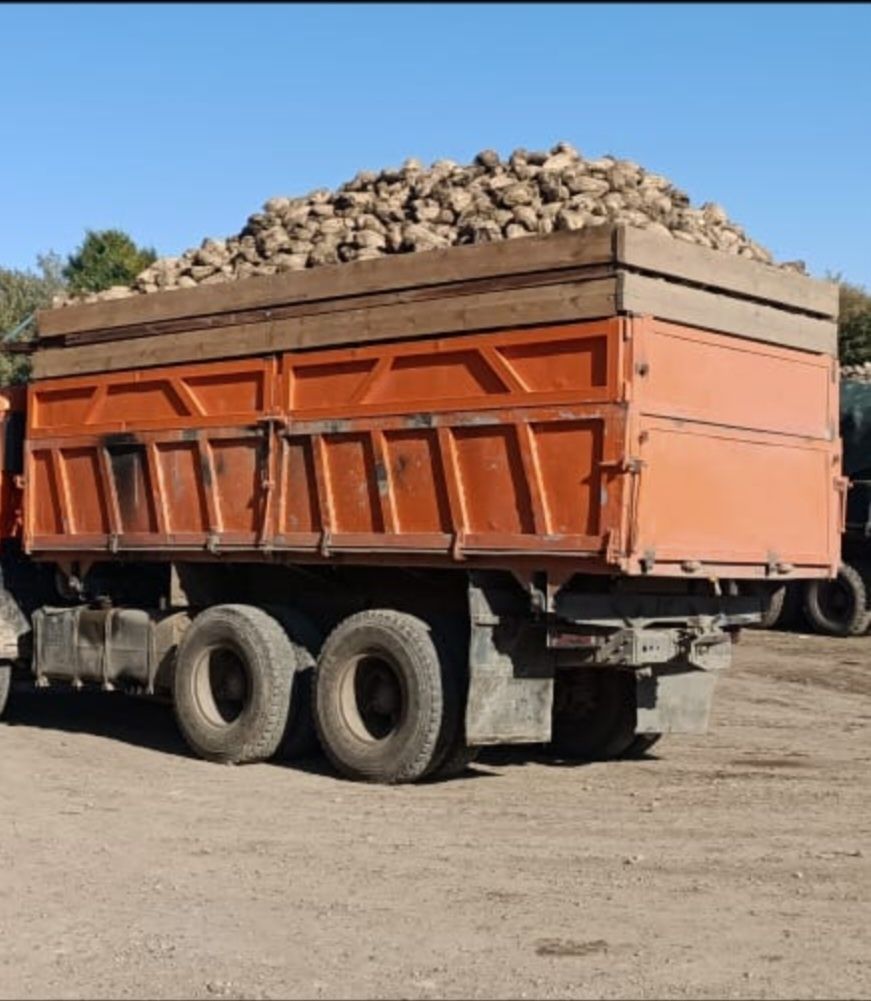Селхоз камаз Кузовы